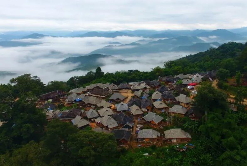 景迈山申遗成功！全球首个“茶”的世界遗产