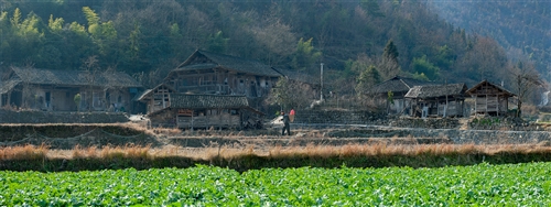 乡村人家