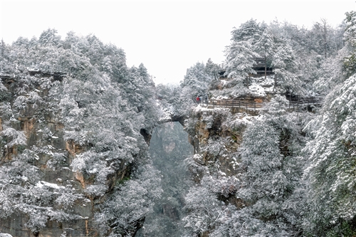 《雪山飞渡》