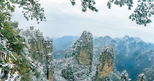 《松阁傲寒》