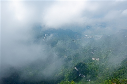 《雾气飘漫》