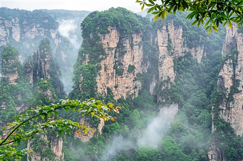 《雾气小景》