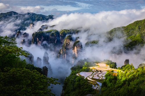 空中田园