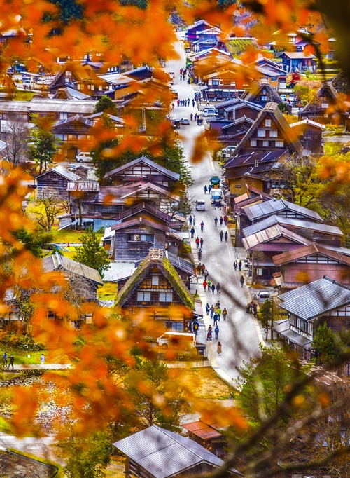 白川秋色