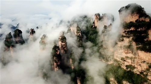 《我的“国际张”》
