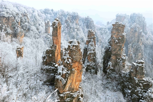 雪景