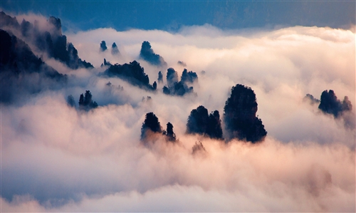天子山云海