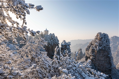 雪景