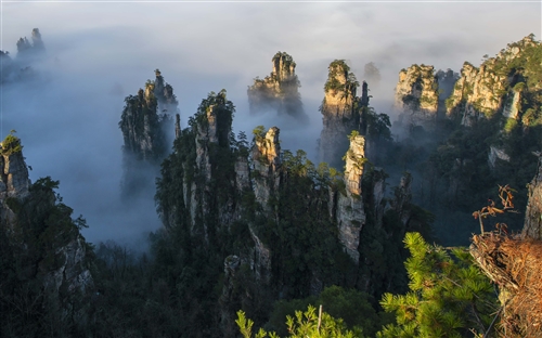 天子山