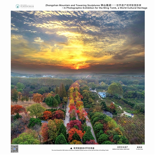 明孝陵600神道