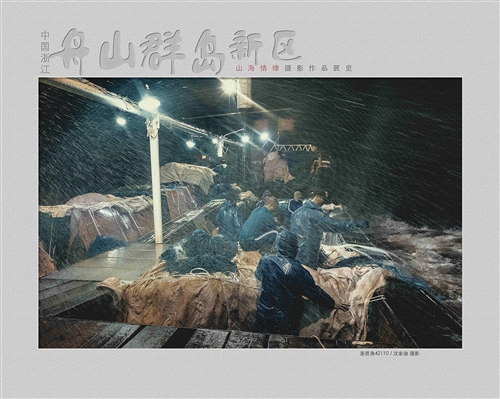 浙普渔42110