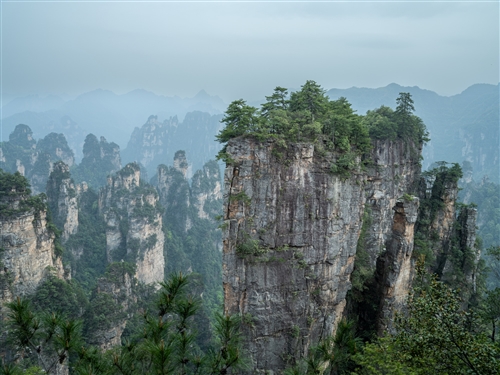 《水墨张家界》组图